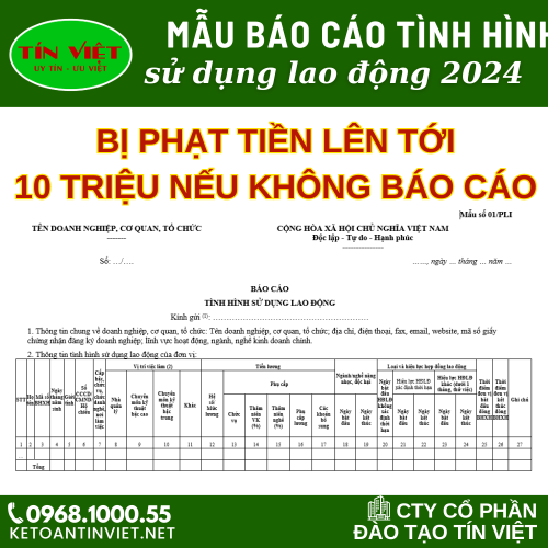 Mẫu báo cáo tình hình sử dụng lao động 6 tháng đầu năm 2024