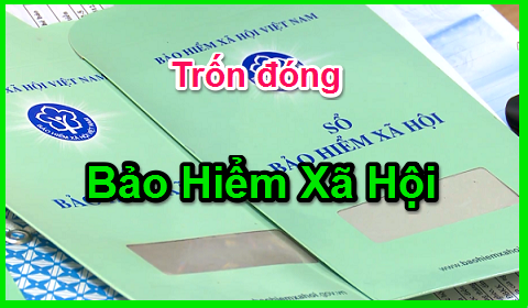 Trốn đóng bảo hiểm xã hội xử phạt như thế nào?